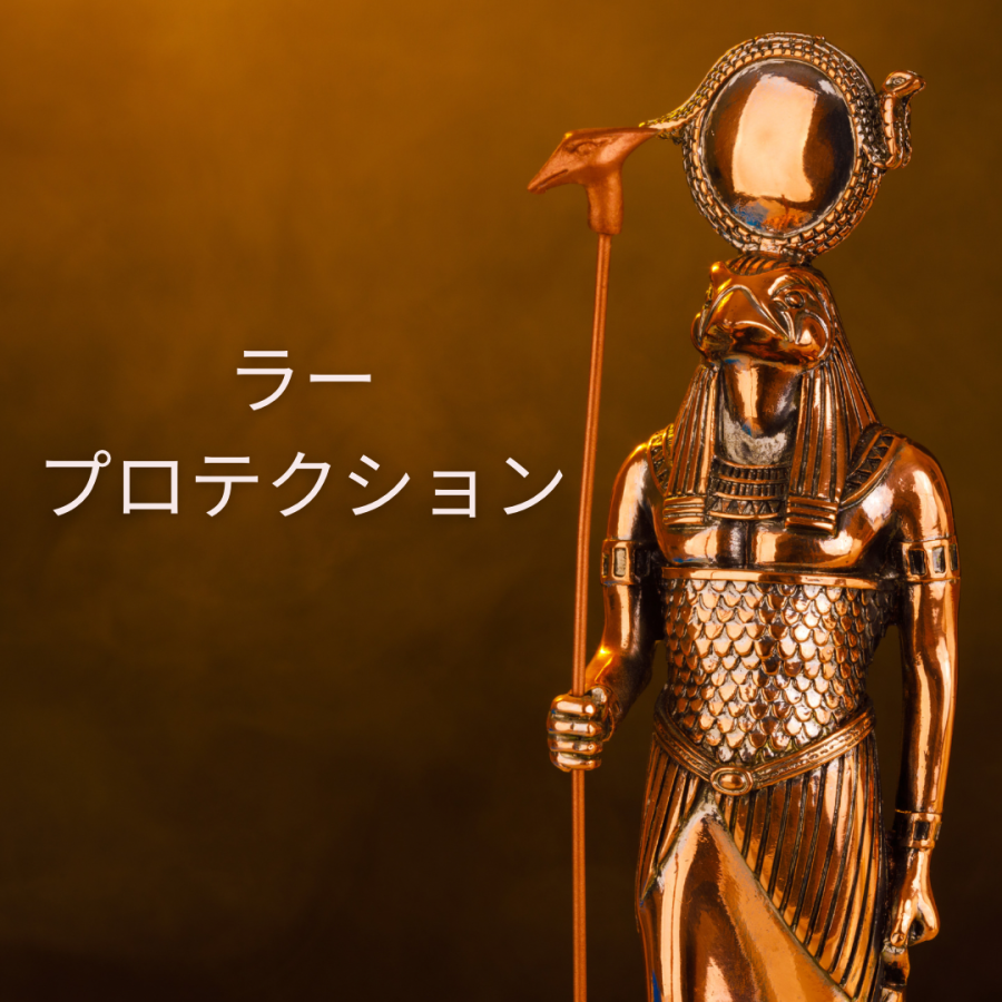 ラープロテクション