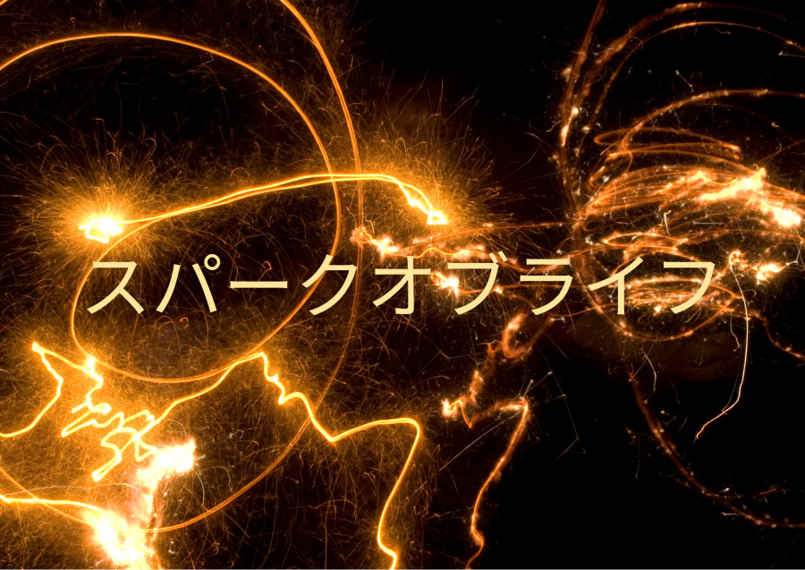 スパークオブライフヒーリング